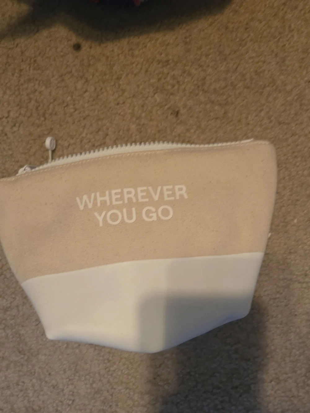 ‼️last Chance‼️ Lululemon Canvas Pouch MiniWordmark